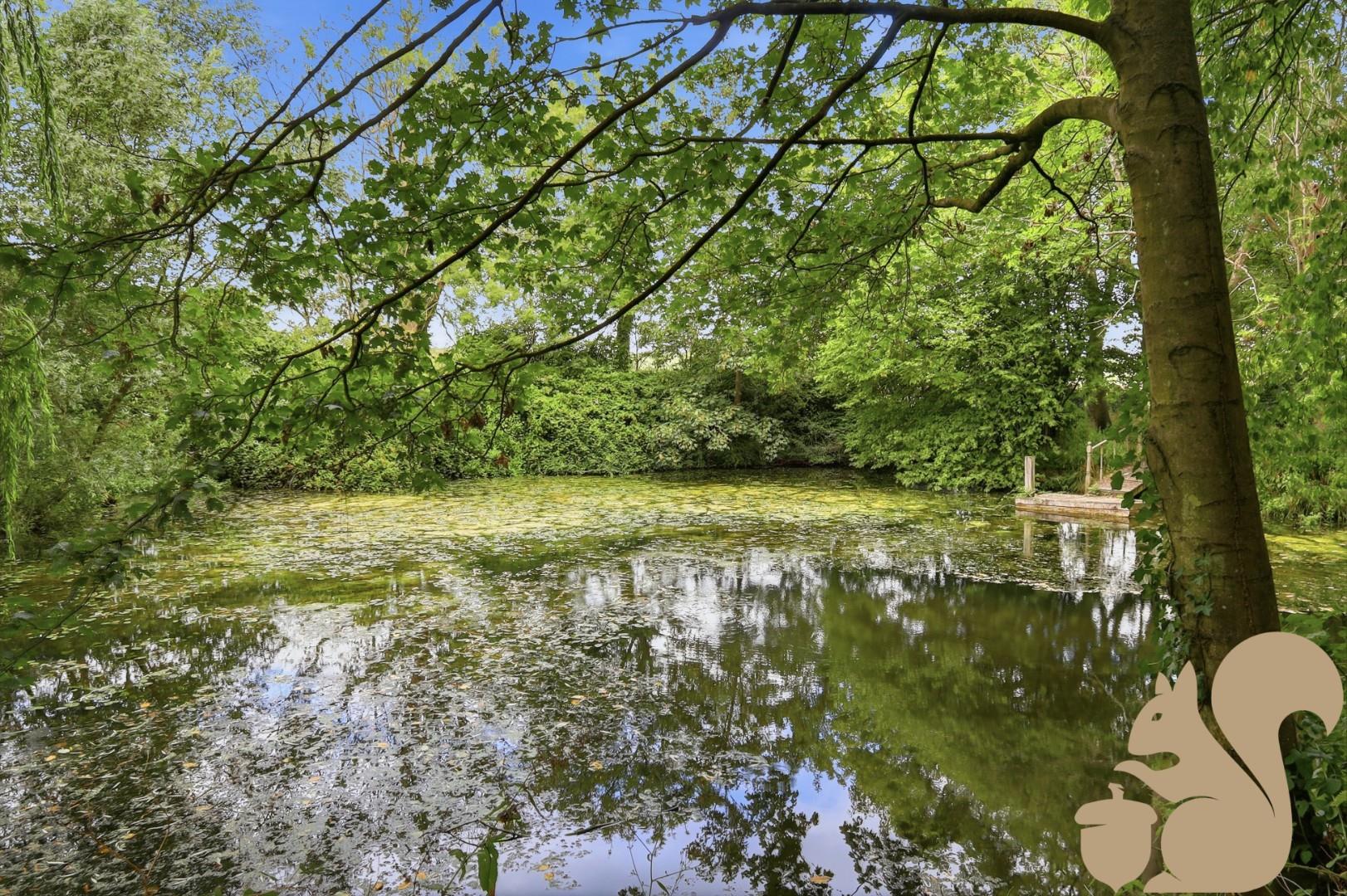 Pond